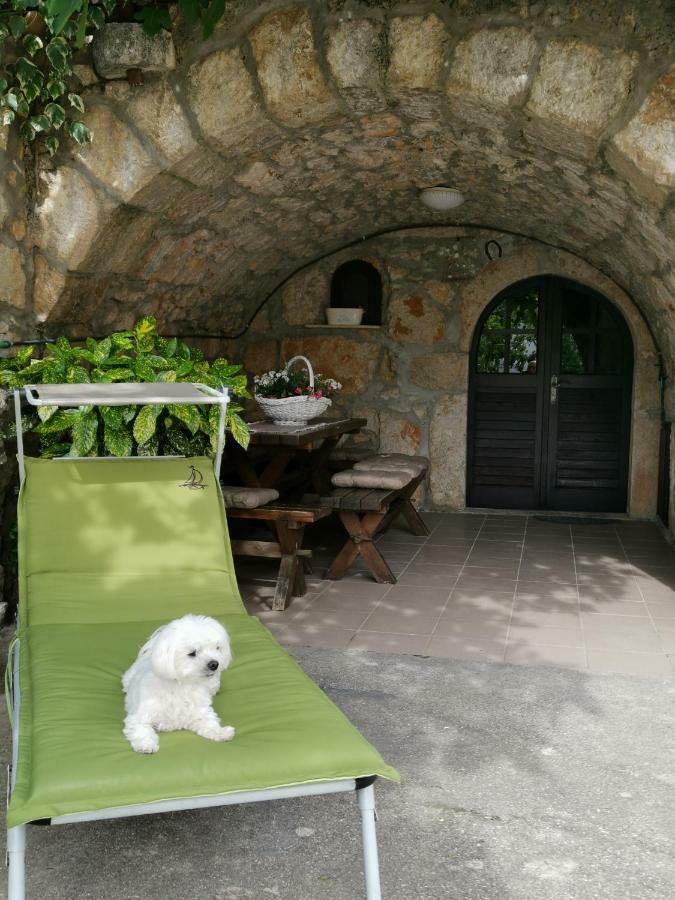 פונאנט Guest House Otto מראה חיצוני תמונה
